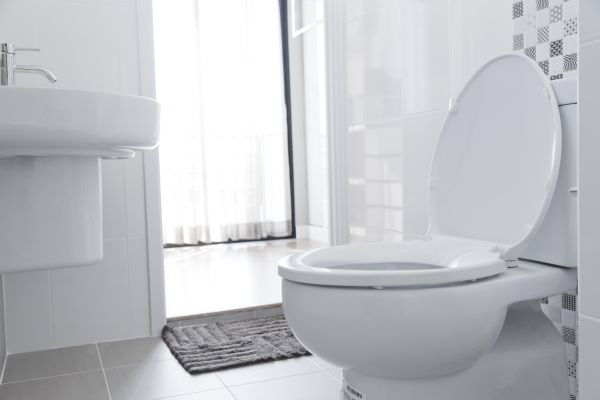Cost of Toilet Seat Installation in Snellville