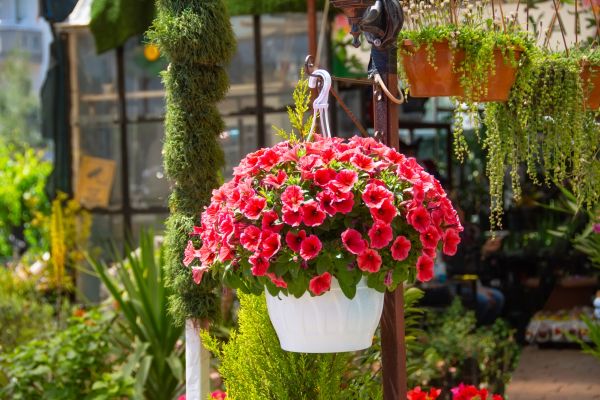 Cost of Hanging Planter Installation in Snellville