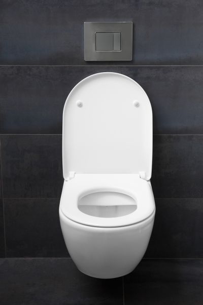 Toilet Lid Installation in Snellville