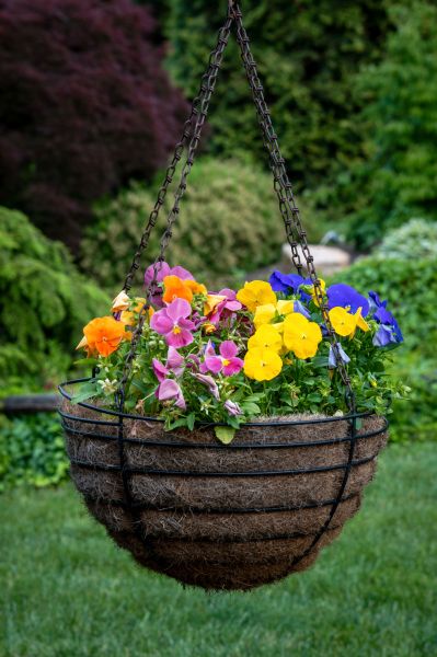 Hanging Basket Installation in Snellville
