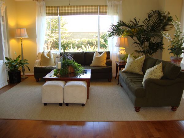 Valance Rod Installation in Snellville