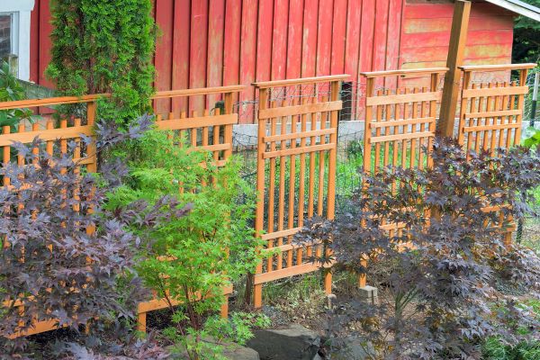 Wood Trellis Mounting in Snellville