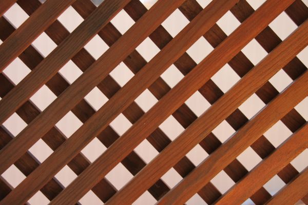 Wood Lattice Repair in Snellville
