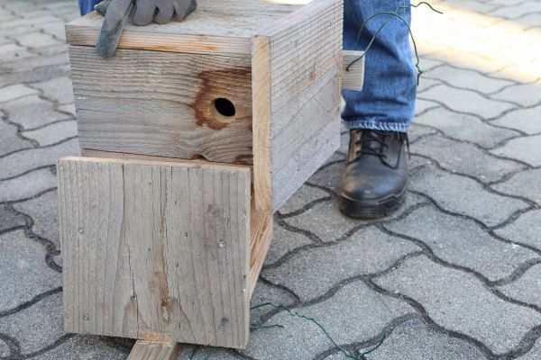 Cost of Birdhouse Mounting in Snellville
