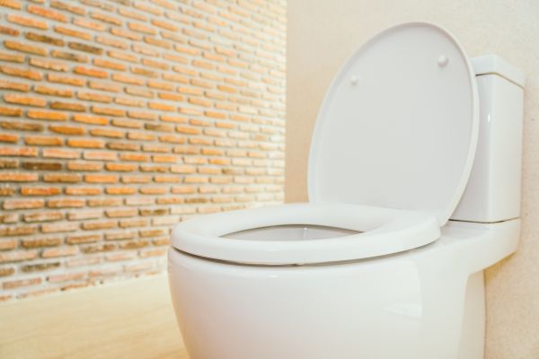 Cost of Toilet Seat Repair in Snellville